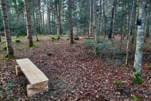 KLOSTERWALD Sternenkinderbank 20241217 152304 (C)KLOSTERWALD