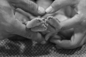 2407002 KHDO 061 Copyright@Artofphotography At